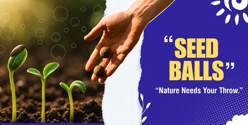 Seed Ball