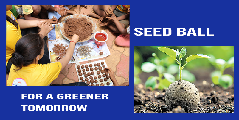 seed ball