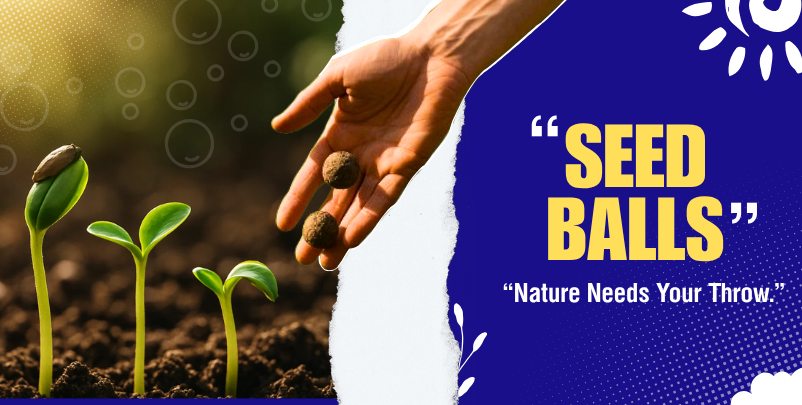 Seed Balls: Kokan NGO India planting over 1,000 seed balls for sustainability.
