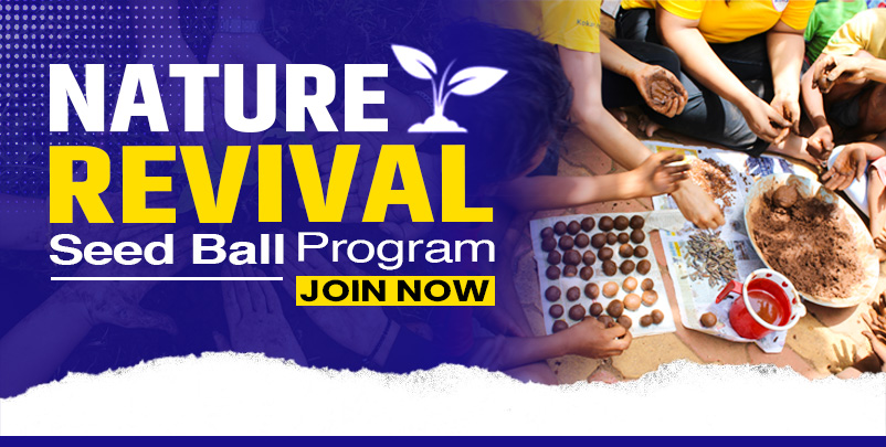 Seed Balls, Seed Balls Program