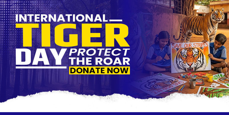 International Tiger Day, Kokan NGO India