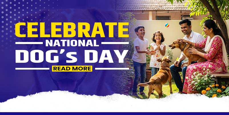 National Dog day, Puppy Love, Kokan NGO India