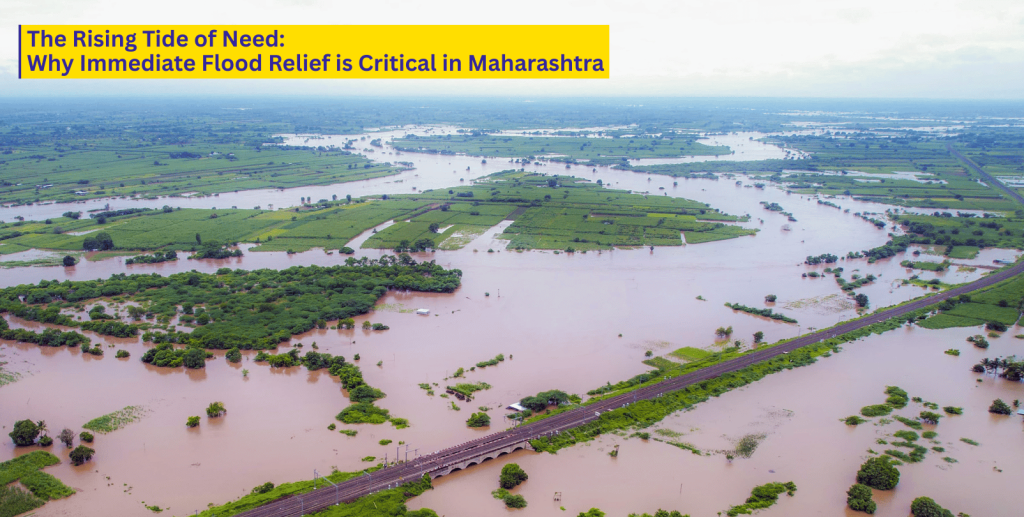 Maharashtra, Disaster support, Online donation, flood relief, help in floods