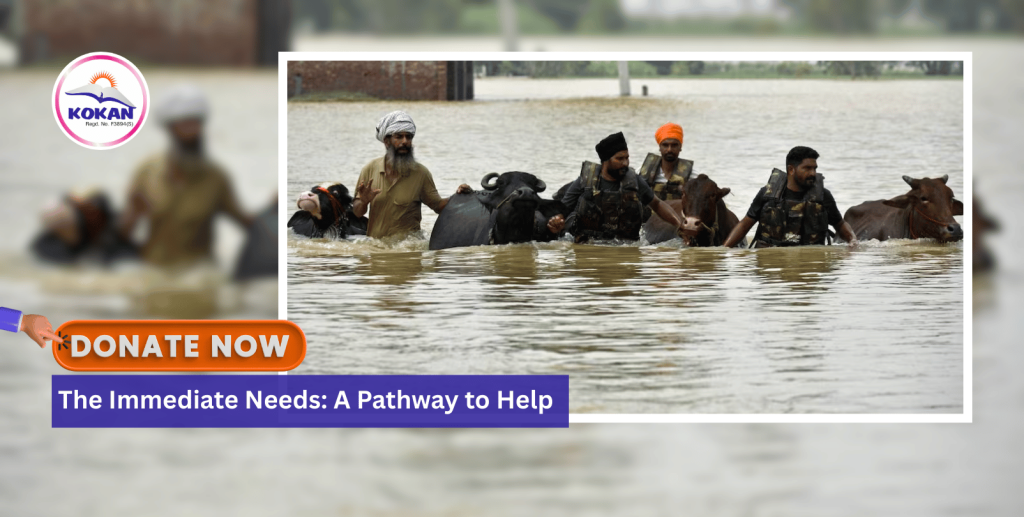 flood relief, support for Punjab flood victims, Jammu and Kashmir flood relief, Online donation for flood