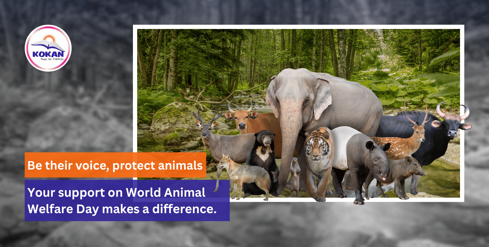 World Animal Welfare Day, Animal protection, Wildlife support