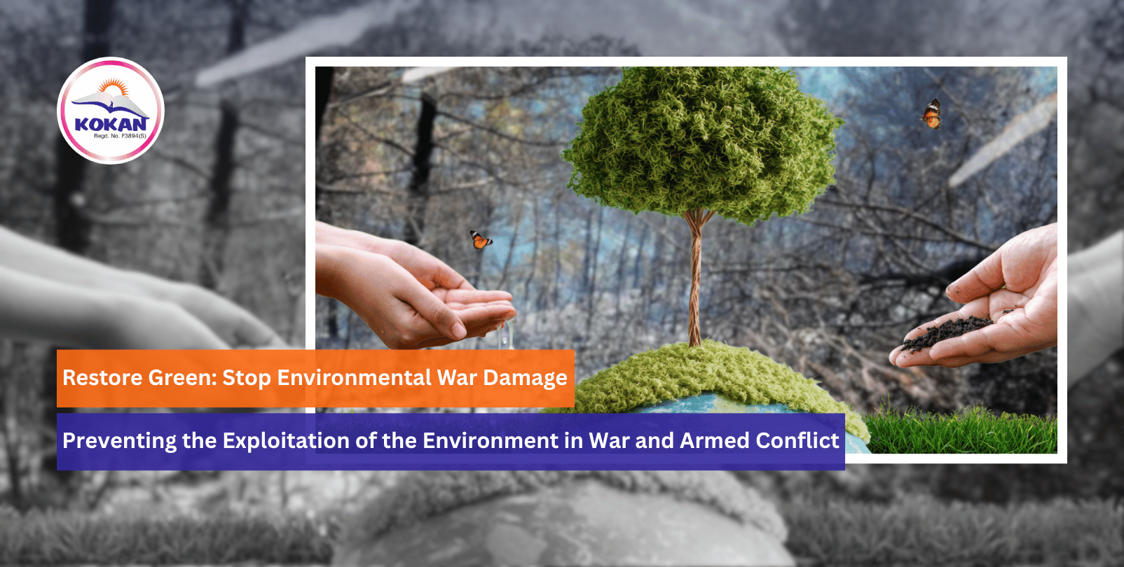 save nature, International Day for Preventing the Exploitation of the Environment in War and Armed Conflict