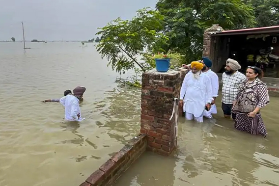 Gully School-3